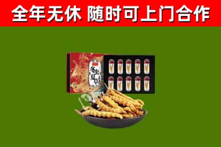 柳林县回收冬虫夏草价格